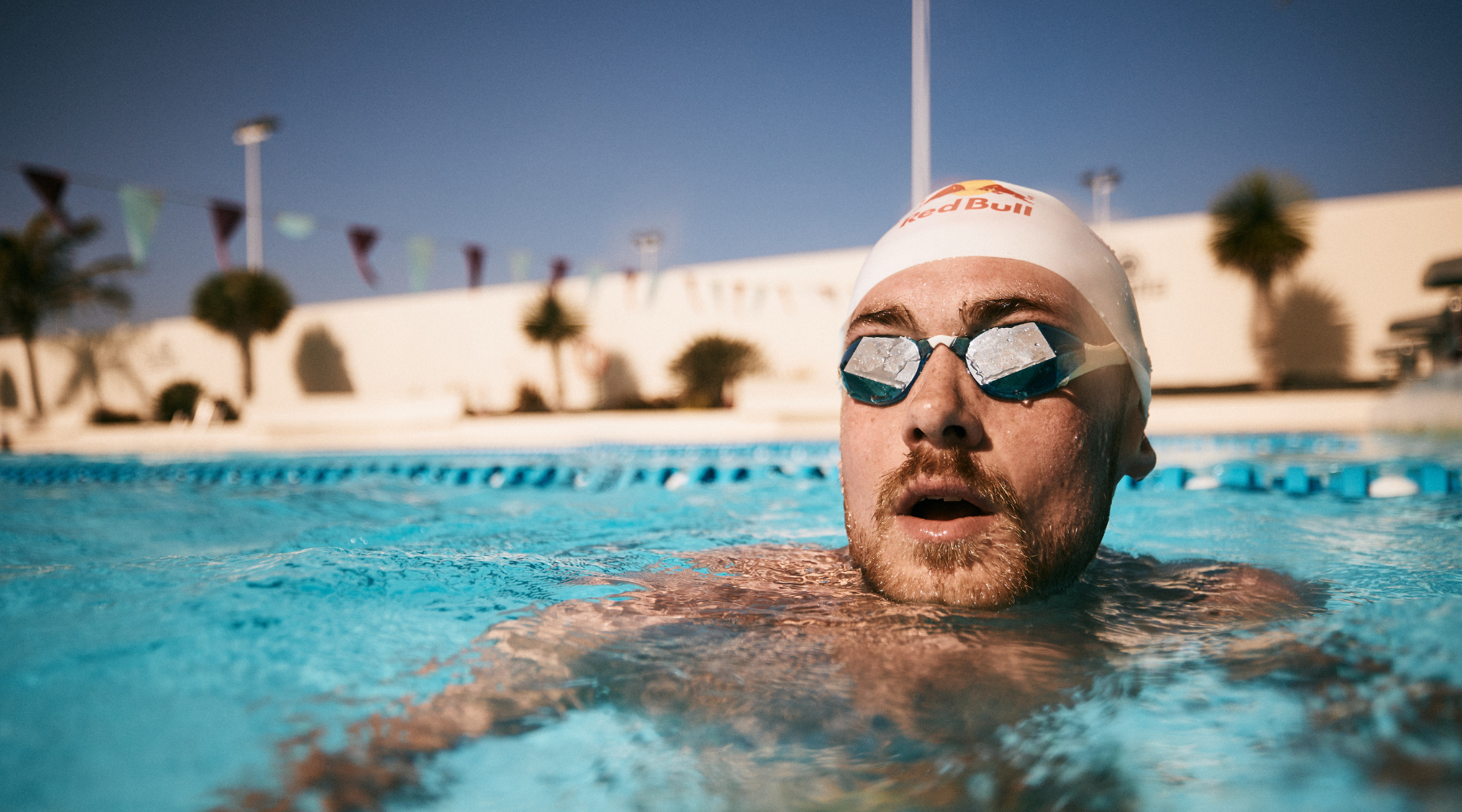 James Mitchell: Underwater Photographer