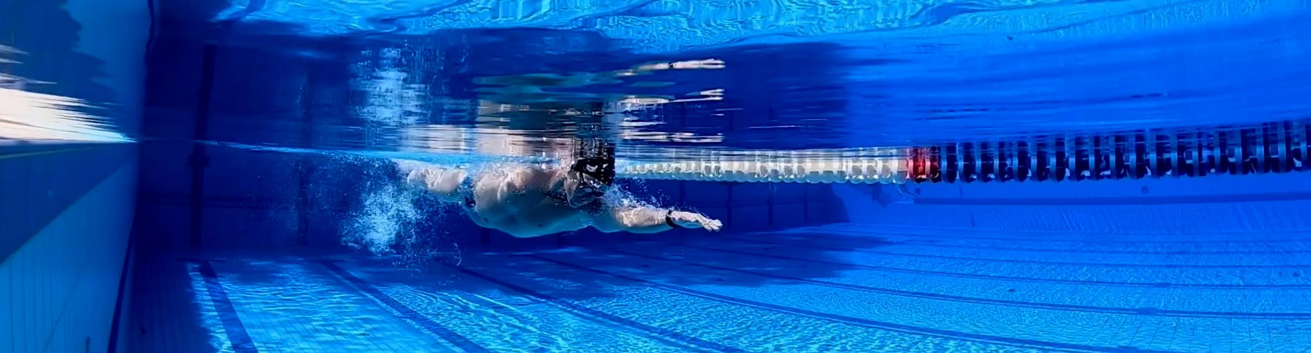 Announcing a Partnership with Swim Coach Dan Daly