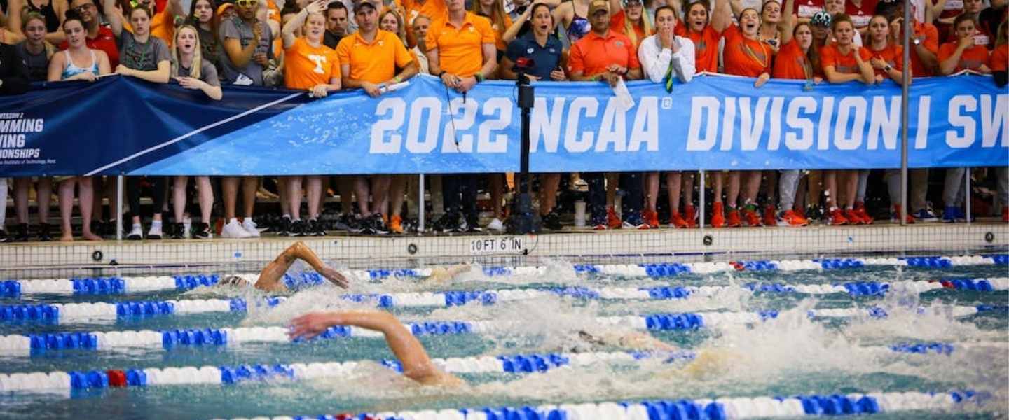 How to Qualify for The NCAA Division I Swimming Championships NCAA