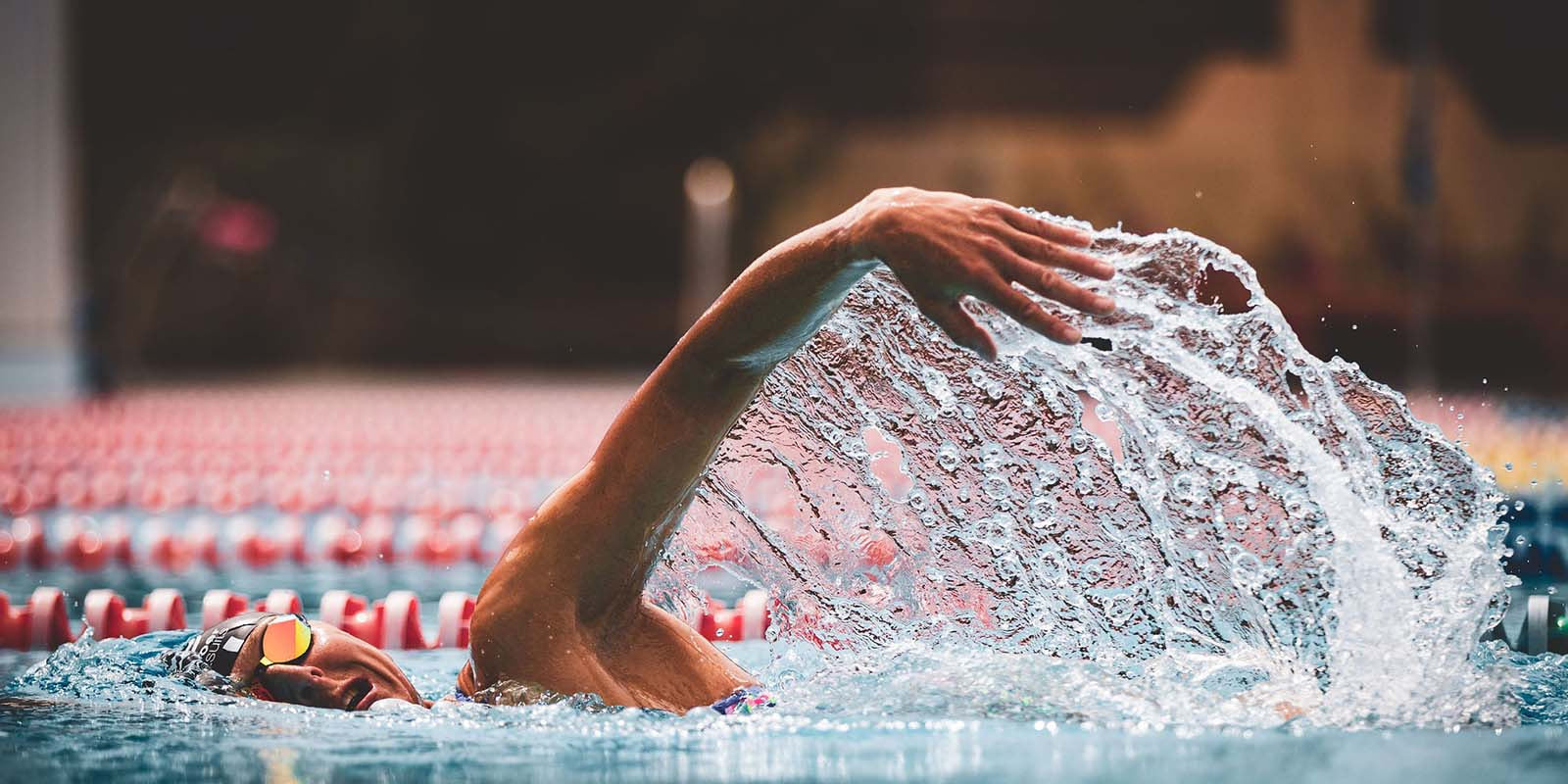 6 Proven Drills to Improve Your Freestyle Stroke THEMAGIC5