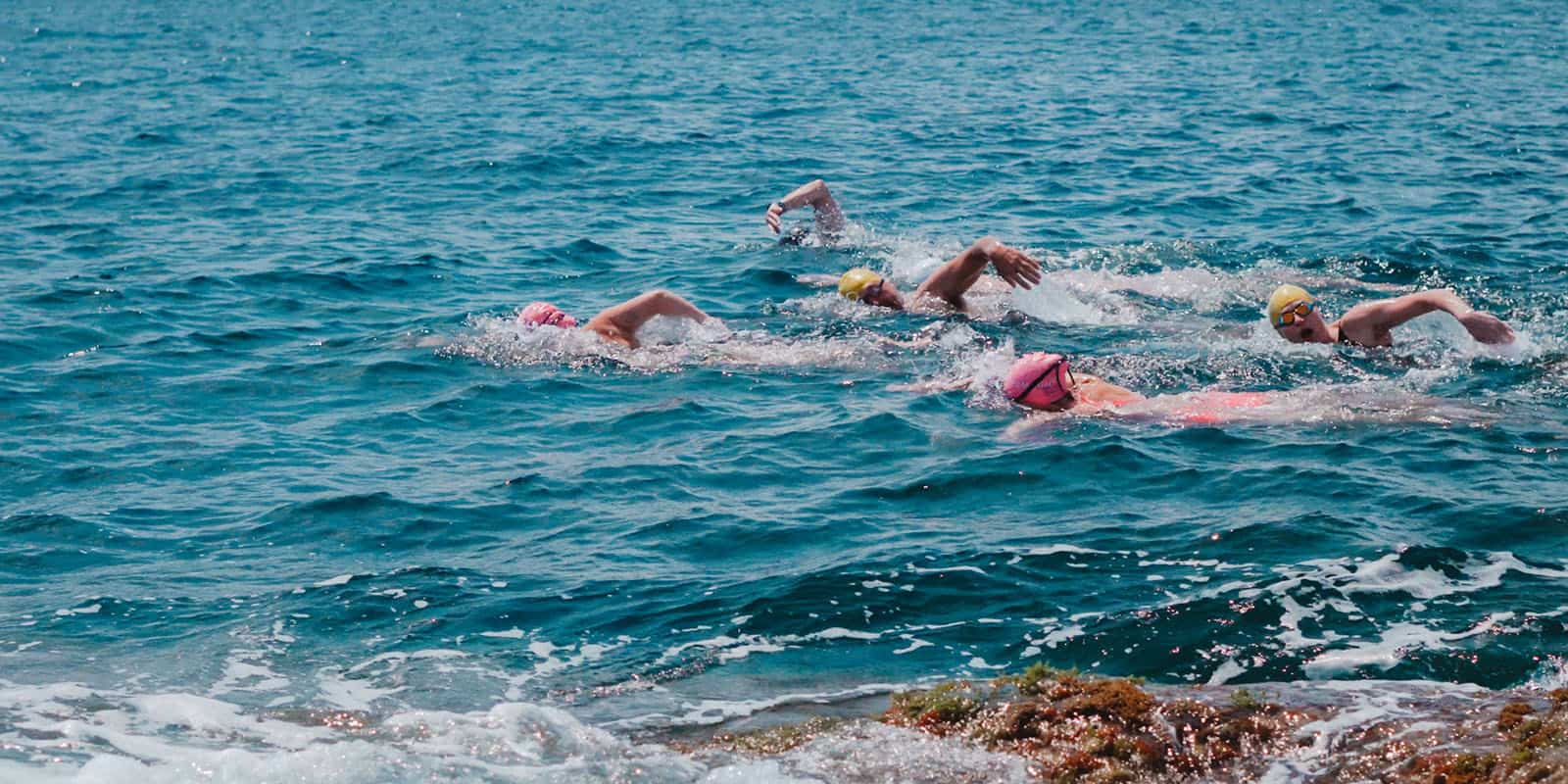 A group of open water swimmers 