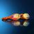 Vector Limited Edition Orange Gold