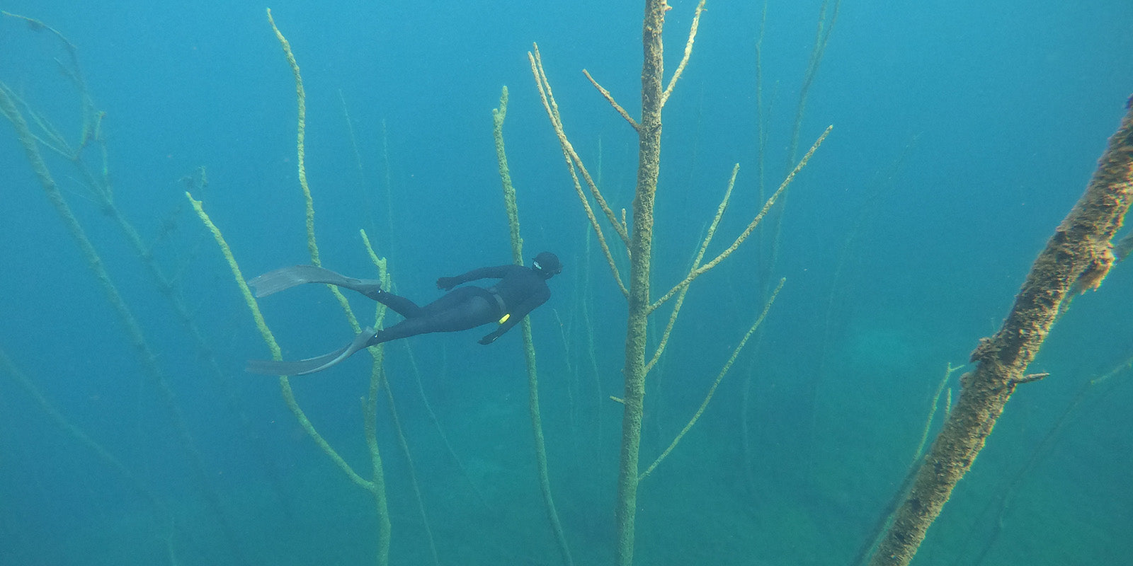 Martine Taagholt Freediving