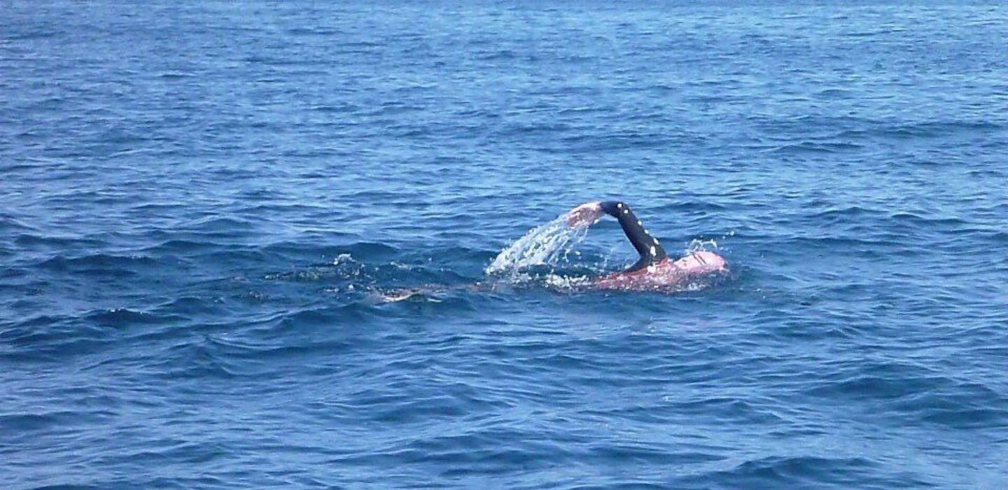 Jason Kloss open water swimming