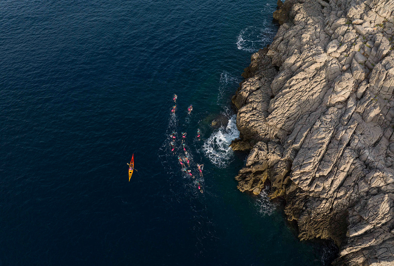 photo of swimmers in open water